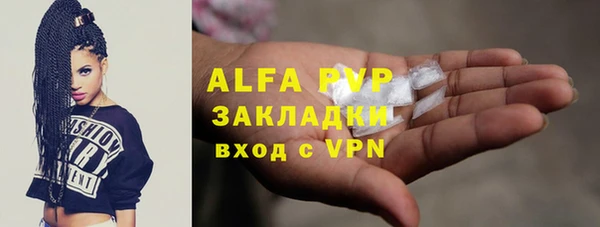 молекула духа Балахна