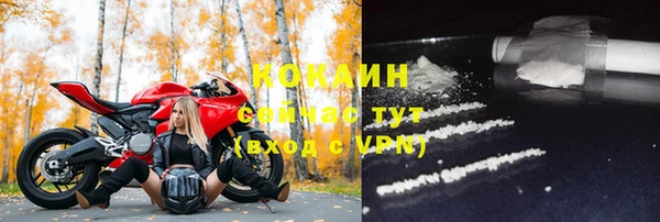 молекула духа Балахна